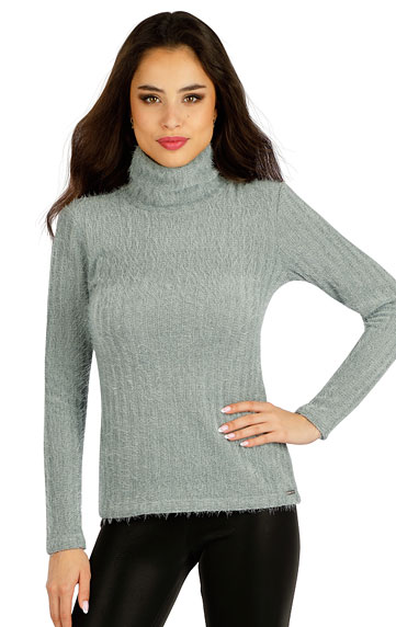 Damen Rollkragenpullover mit langen Ärmeln.