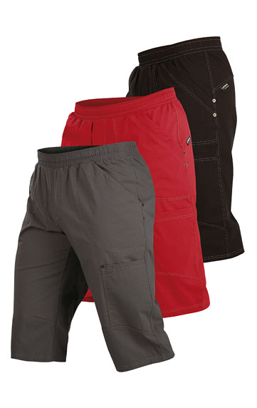 Trousers and Trackpants > Men´s shorts. 9D325